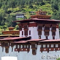 Punakha Dzong Dw Ms.jpg