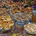 Chanterelle threesome and Chanti vodka