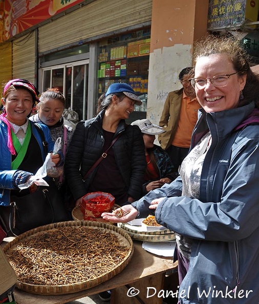 Cordyceps Cornelia Minyak ladies DW MS.jpg