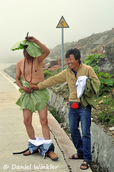 Jampa w Ligularia nelumbifolia Dorjee DW MS.jpg