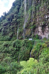 Camino de la Muerta (The Road of Death) S