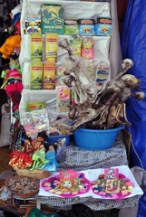 Lama embryos Coca leaves at witch market La Paz S