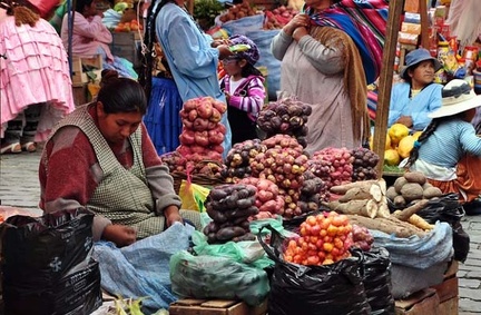 Papa dealer La Paz S