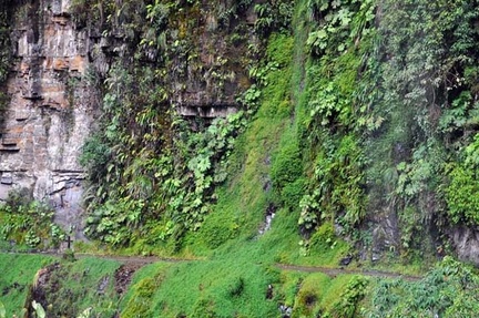 Camino del muerte shower 2013 S