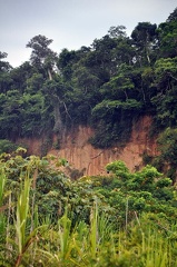 Farallon Caquihuara Macaw Cliff S