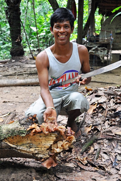 Wood ears & guide S.jpg