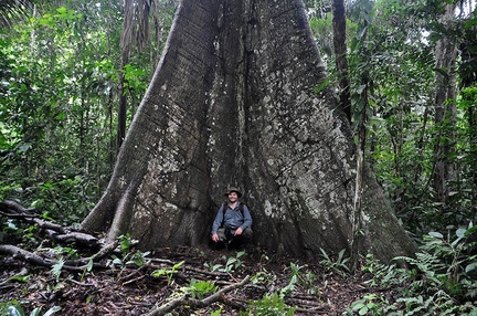 Daniel Buttress roots 