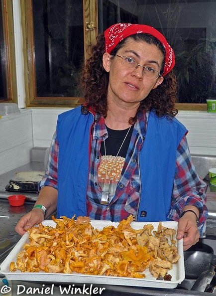 Cantharellus tray Chicaque Tatiana DW Ms.jpg