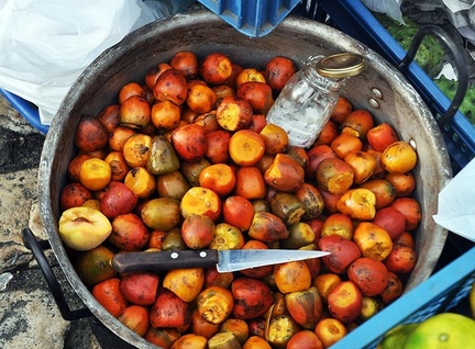 Chonta dura fruits Bractis gassipae 