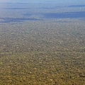Amazonian forest expanse Ms-1603642853.jpg