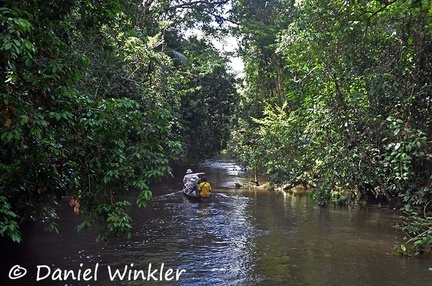 boat on Tacana river