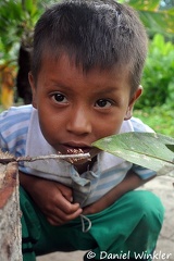 Cornelio junior looking at mushrooms