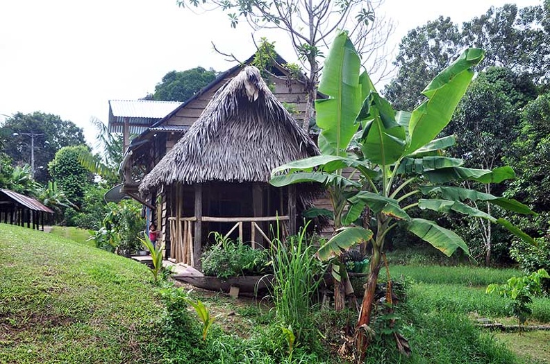 House store boat bed Puerto Naurino Ms.jpg