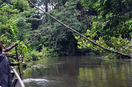 Rowing down the Tacana River 