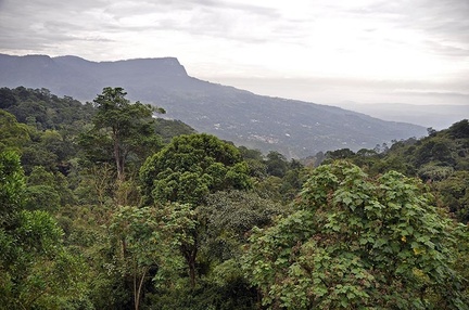 Chicaque forest slope from loadge Ms
