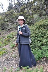 Matsutake collector we met in the oak woods