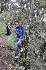 Matsutake collector we met in the oak woods