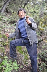 Matsutake collector we met in the oak woods above Nyachuka
