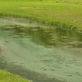 A creek running through the meadow in Yading