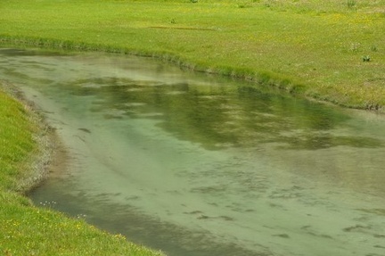 A creek running through the meadow in Yading