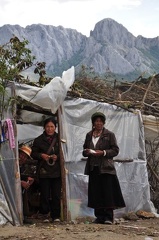 A improvised building in the matsutake camp.