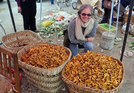 Kathy Welsh smiling at lots of chanterelles! What a nice fruity smell such a pile of Chanties has!