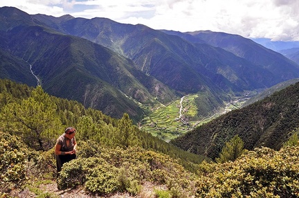 Drolma looking for porcinis high above a valley in Nyachuka (Chinese: Yajiang)