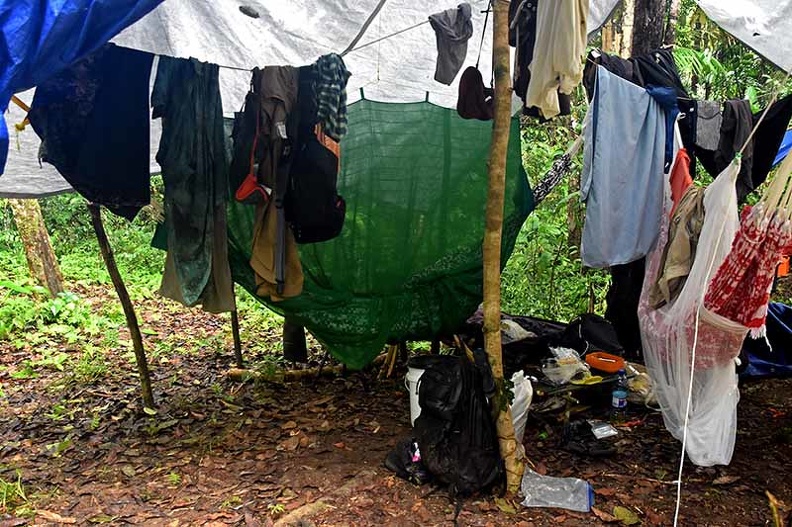 Hammock Palace Morai Tepu DW Ms.jpg