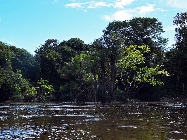 River flooded islands DW Ms.jpg