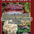 NA Medicinal Mushrooms Field Guide Cover Now Available
