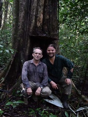 Bruce Daniel Phellinus 