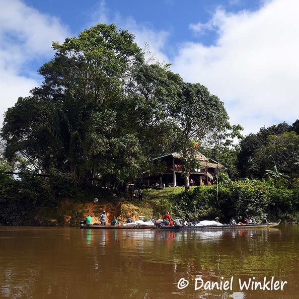 ACT head quarters Kawalasamutu with expediton canoes DW Ms.jpg