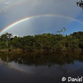 Rainbow Kwamalasamutu Sipaliwini River