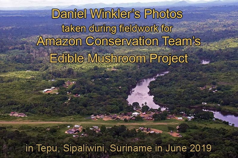 Cover page Tepu village with Tapanahoni River from the air Ms.jpg