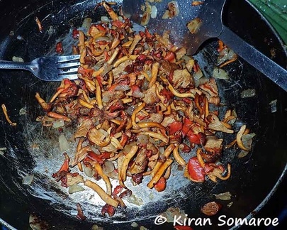 Cantharellus guyanensis fried Tepu DW Ms