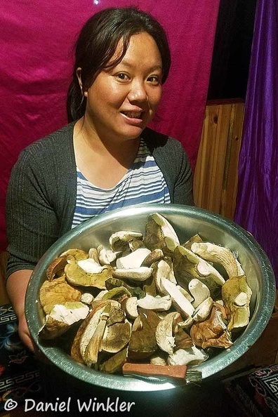 Boletus reticuloceps processing bowl Wangmo DW Ms.jpg