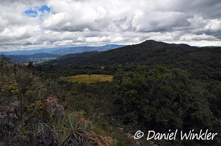 Chauna landscape, Boyacá
