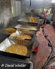 Panela solid form of sucrose made from sugarcane juice DW Ms