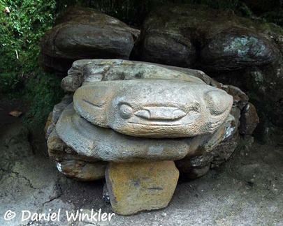 Frog in San Agustín