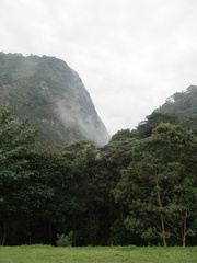 Chicaque forest