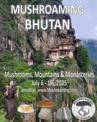 Bhutan 2025 ad Taktsang Ms