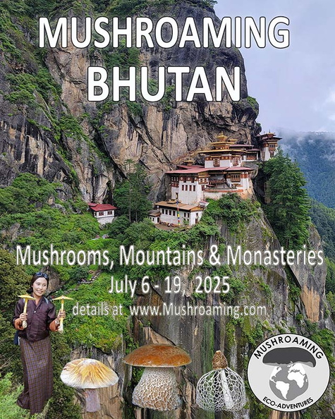 Bhutan 2025 ad Taktsang Ms.jpg