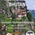 Bhutan 2025 ad Taktsang Ms