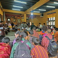 Cordyceps auction in doors CpR Ms