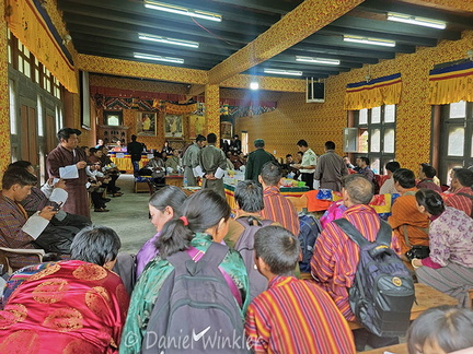 Cordyceps auction in doors CpR Ms