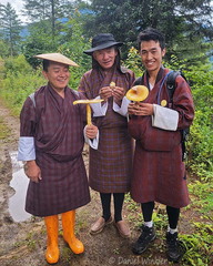 Dorji Chodra Phub Tenzin Amanita Ogyen Choling DW Ms