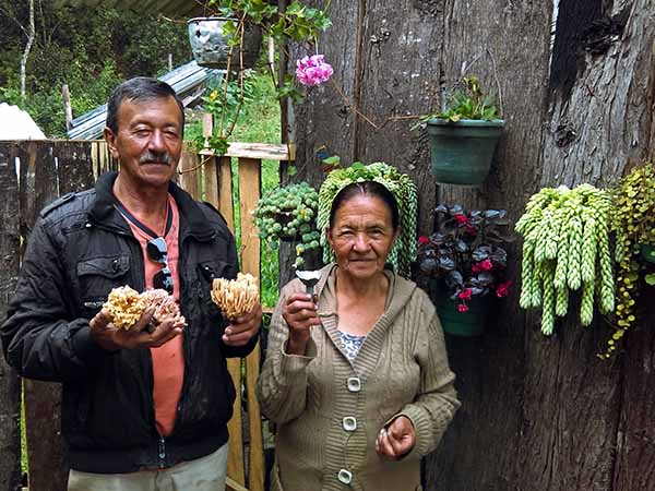Farmer from Pauna Boyaca with edible mushrooms ed S.jpg