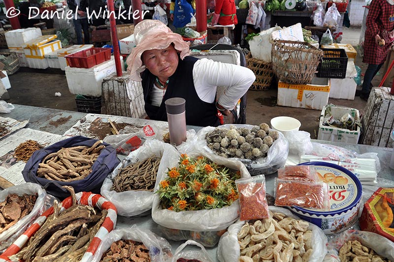 Tibetan medicine plants market