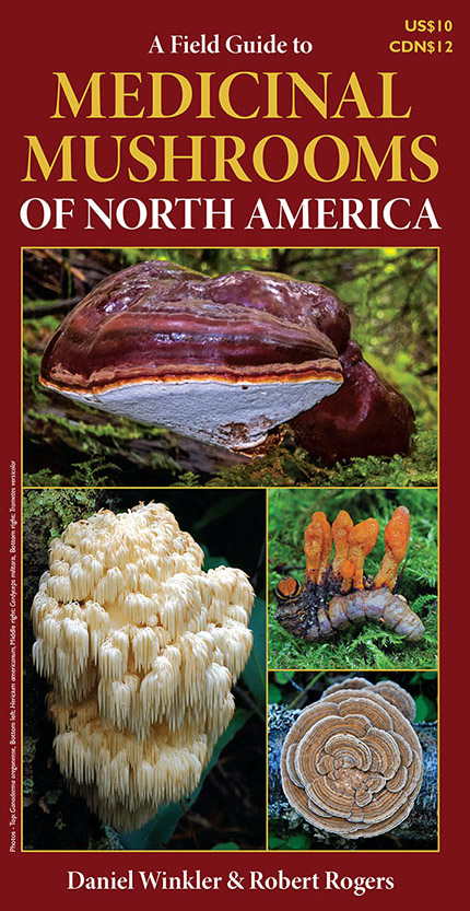 Medicinal_Mushrooms_of_NorthAmerica_FieldGuide_FrontMs.jpg